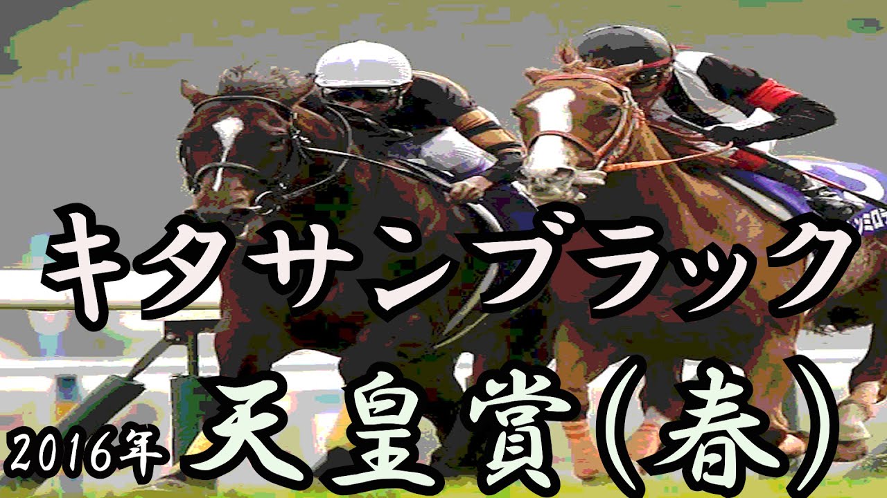 キタサンブラック　天皇賞（春） 2016　【アレンジ】