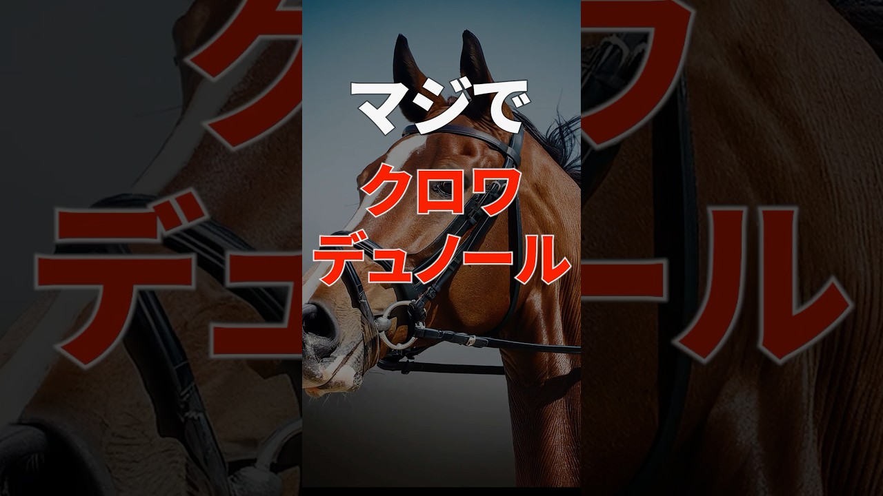 クロワデュノールは怪物か！？【ホープフルステークス2024】#shorts #競馬 #ホープフルステークス2024 #クロワデュノール