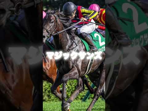 G1ホープフルステークスの注目馬3頭を紹介＃競馬＃競馬予想＃クロワデュノール＃マスカレードボール＃マジックサンズ