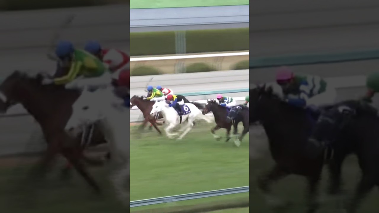 #shorts 2020 阪神ジュベナイルフィリーズ #ソダシ #吉田隼人