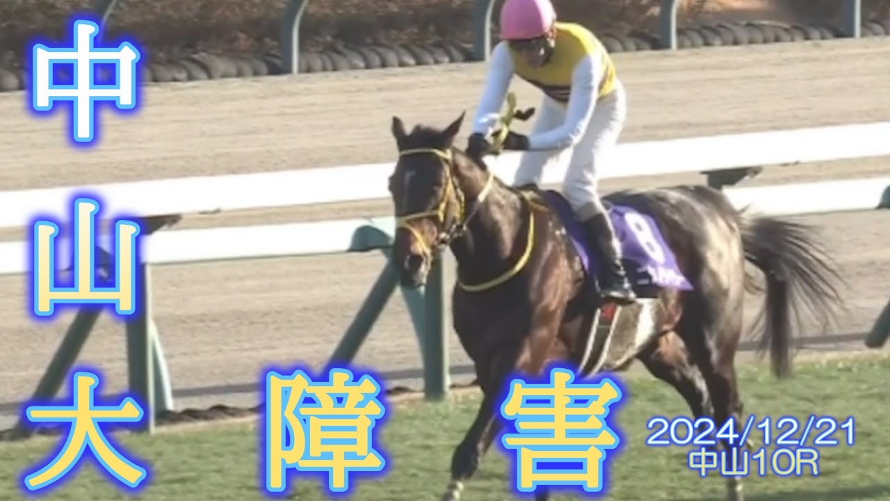 2024/12/21  中山10R　　中山大障害　　#ニシノデイジー