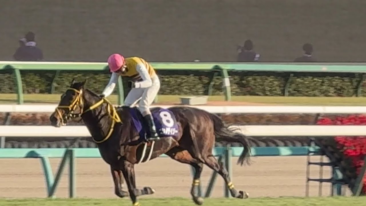 2024 12 21 中山10R 中山大障害　ファンファーレ〜レースまで