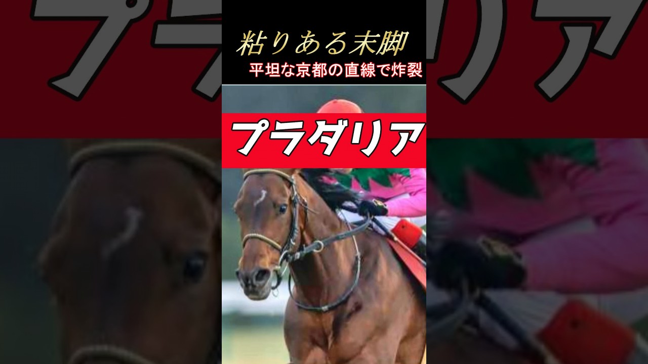 【 2024 宝塚記念 】注目馬１分紹介『 日曜日版 』条件が京都記念と全く同じ！？ここが一番合っている（ プラダリア ）