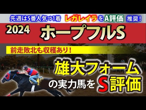 【ホープフルS 2024｜調教診断】雄大フォームで“見た目以上”に切れた馬を【S評価】！