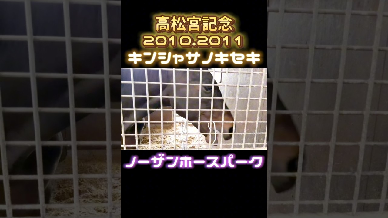 #キンシャサノキセキ #ノーザンホースパーク #高松宮記念