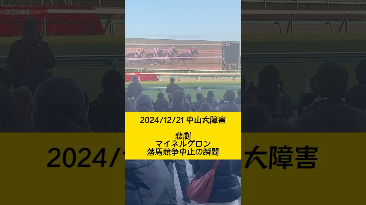 #中山大障害 #マイネルグロン #有馬記念
