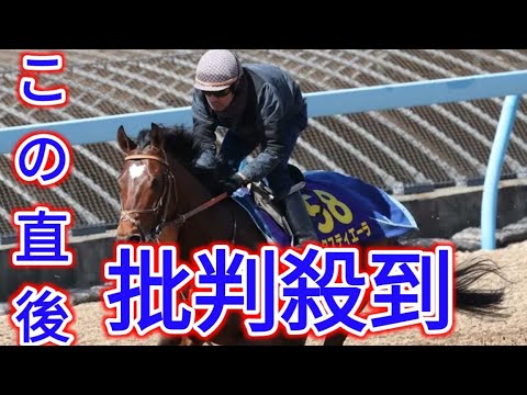 【大阪杯】昨年の最優秀３歳牡馬タスティエーラ　今年の始動戦から力を出せる状態