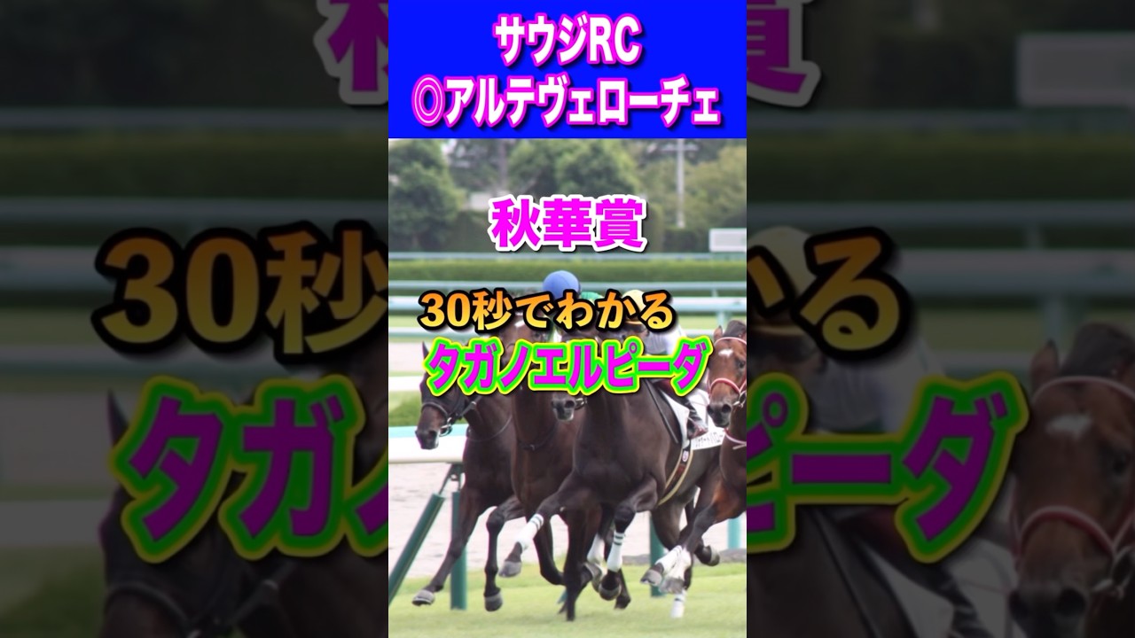 【秋華賞2024】30秒でわかるタガノエルピーダ