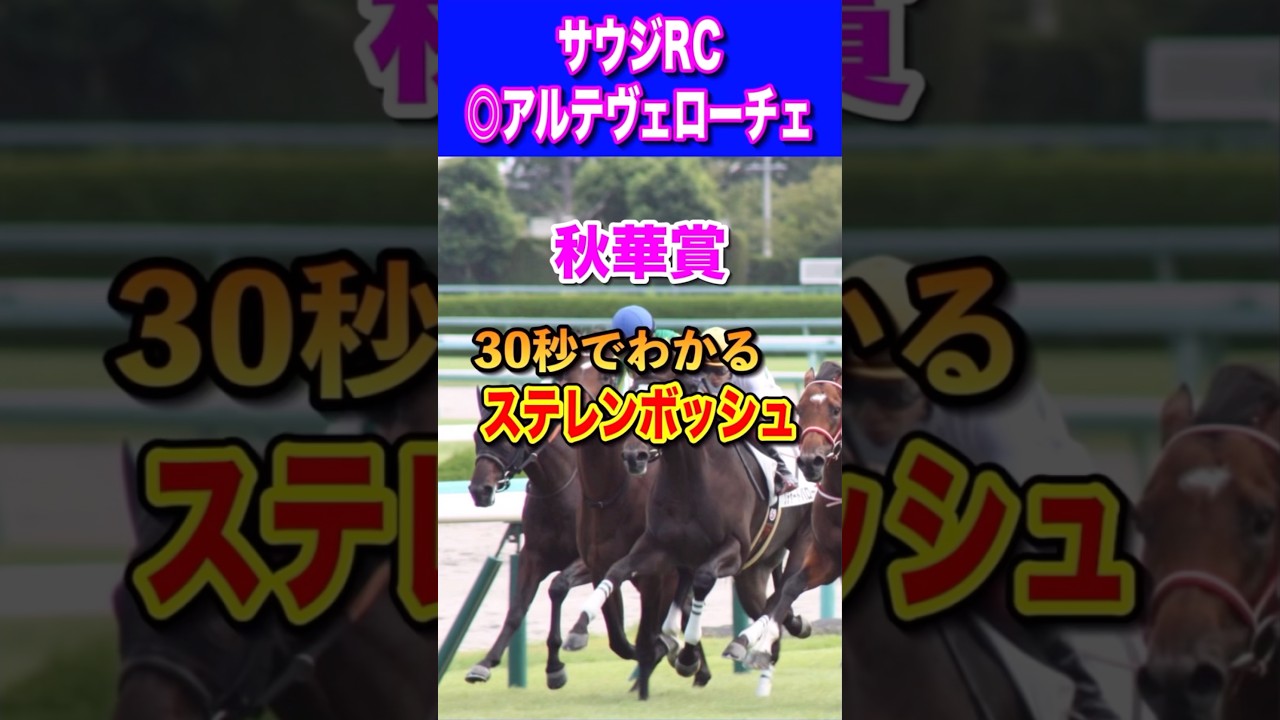 【秋華賞2024】30秒でわかるステレンボッシュ