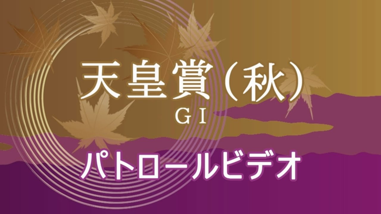 天皇賞秋2024 パトロールビデオ