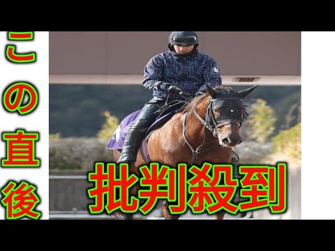 【フェブラリーＳ】ドンフランキーはＤＰコースでソフトな調整　ドバイ・ゴールデンシャヒーンの招待も受諾