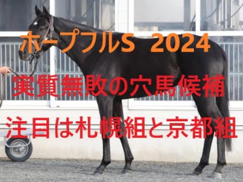 ホープフルステークス 2024 実質無敗の穴馬候補 注目は札幌組と京都組