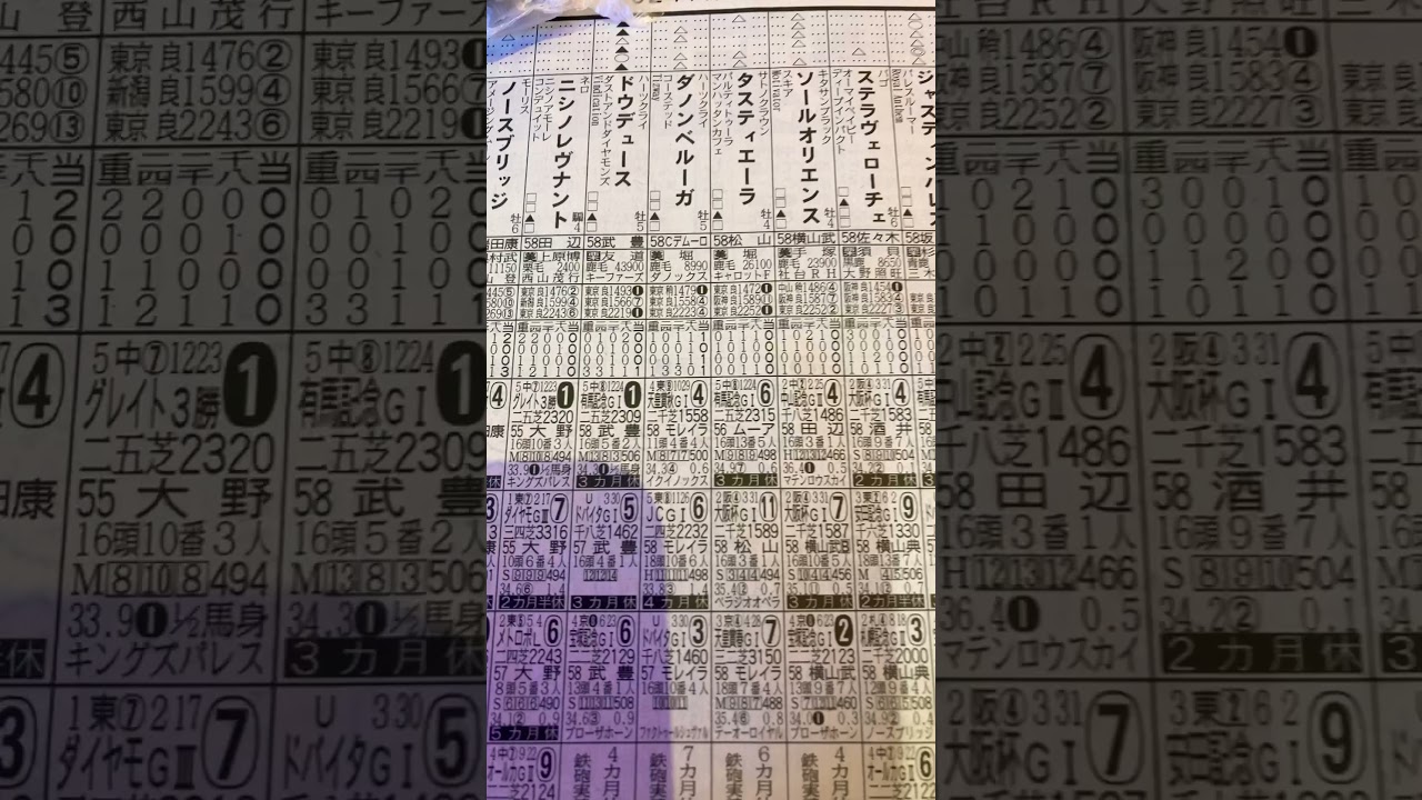 競馬予想🏇天皇賞・秋　◎リバティー○べラジオオペラ