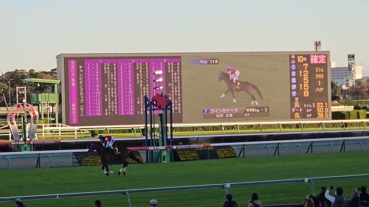 第25回チャンピオンズカップ2024（中山競馬場の様子）