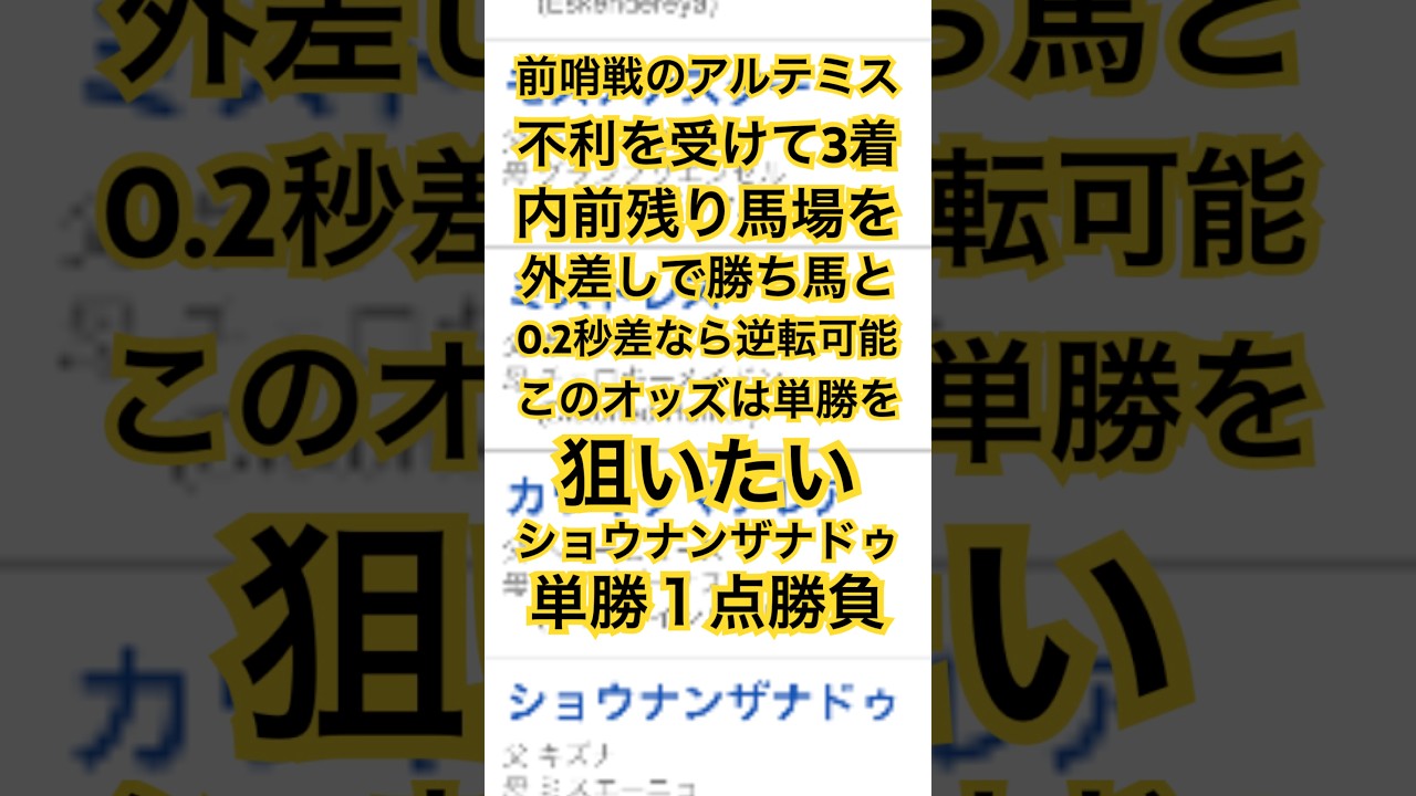 阪神ジュベナイルフィリーズ 2024 予想 #競馬