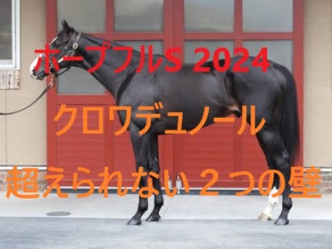 クロワデュノール超えられない２つの壁 ホープフルステークス 2024