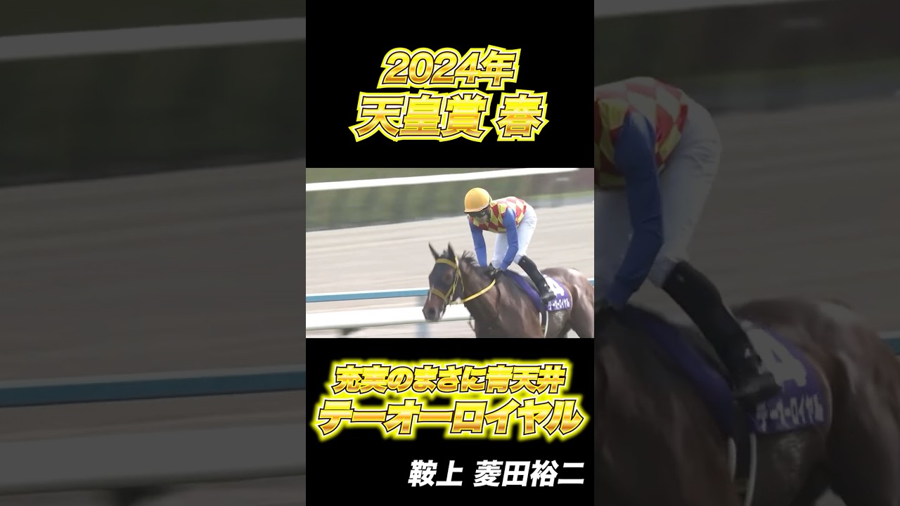 【天皇賞 春 2024】充実の青天井！テーオーロイヤルG1初制覇！#競馬 #テーオーロイヤル #天皇賞 #東京大賞典