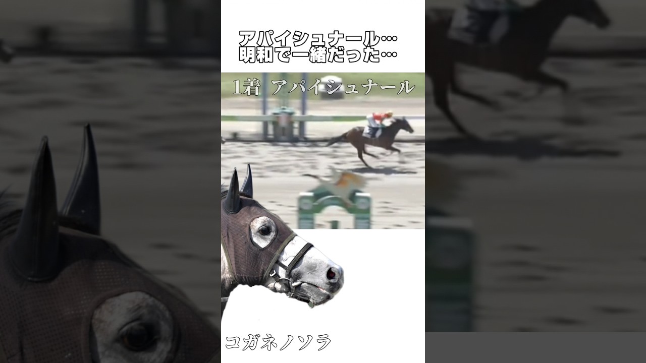 『それぞれの想いを胸に』コガネノソラ・チェルヴィニア〜オークス  #競馬 #ステレンボッシュ #ルメール #ゴールドシップ