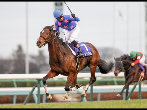 2019 中山大障害 JG1 シングンマイケル