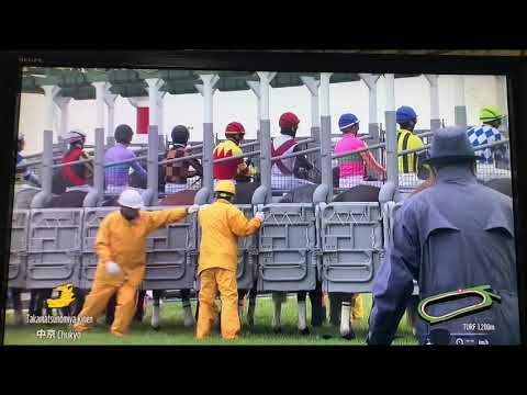 高松宮記念2024マッドクール