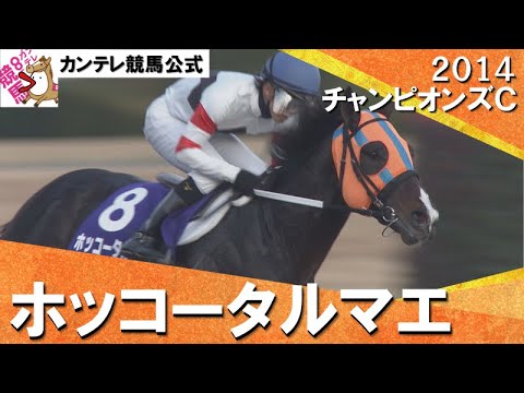 2014年 チャンピオンズカップ (GⅠ) ホッコータルマエ【カンテレ公式】