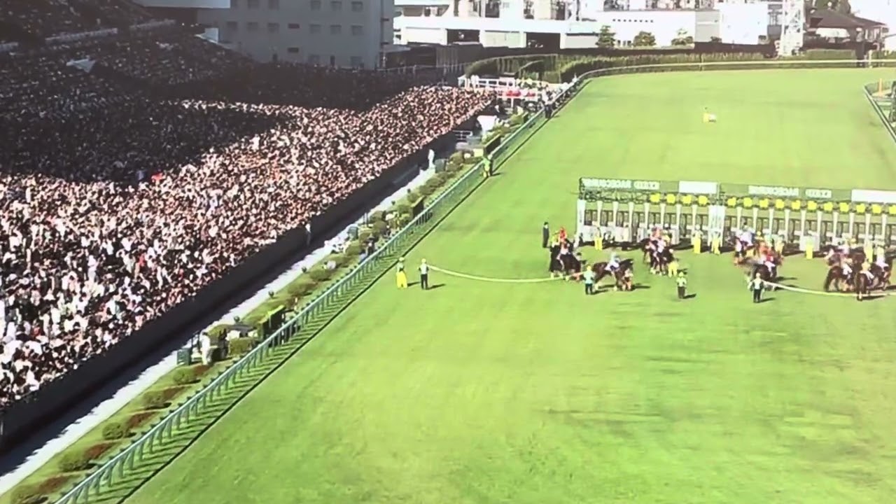 2024年 秋華賞 ファンファーレ🎶