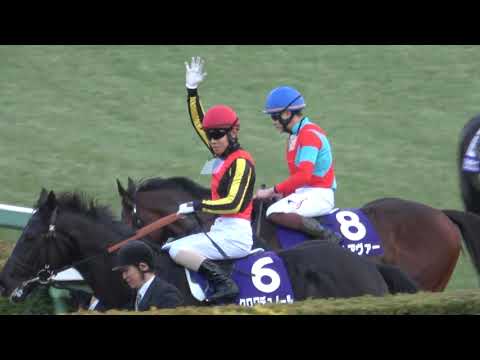 【ホープフルS2024】3連勝と強さを見せたクロワデュノール ウイニングラン 現地映像 生ファンファーレ付き