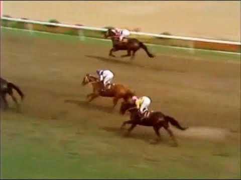 1971年天皇賞春　メジロムサシがオオクラに競り勝つ　～超スローペース、道悪避け大外の直線勝負