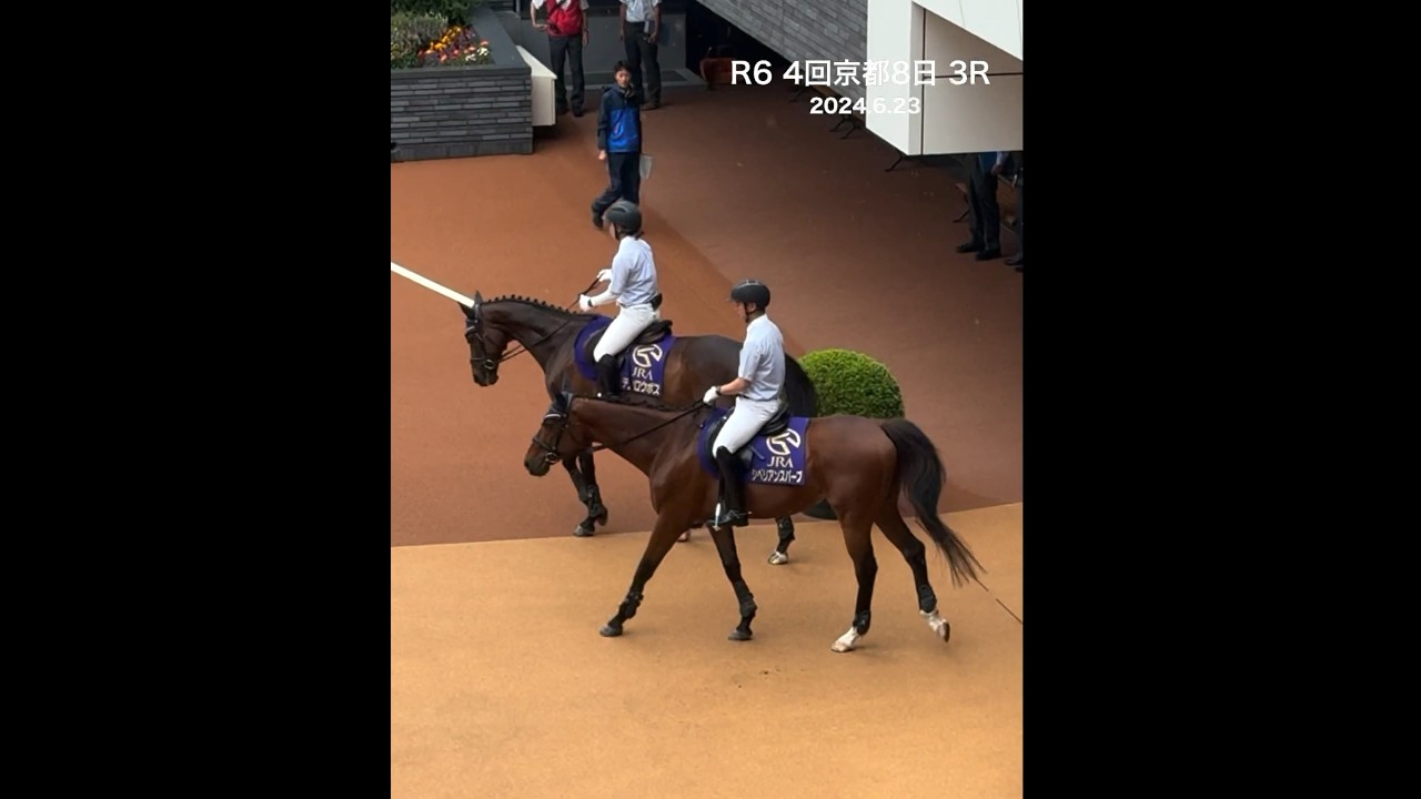 宝塚記念当日午前の誘導馬 シベリアンスパーブ、マテンロウボス、アドマイヤポラリス、クロンターフ