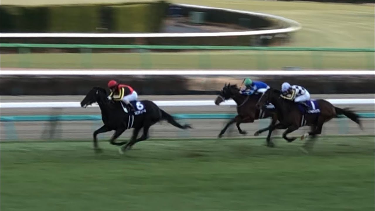 【現地】クロワデュノール 北村友一 2024 ホープフルS