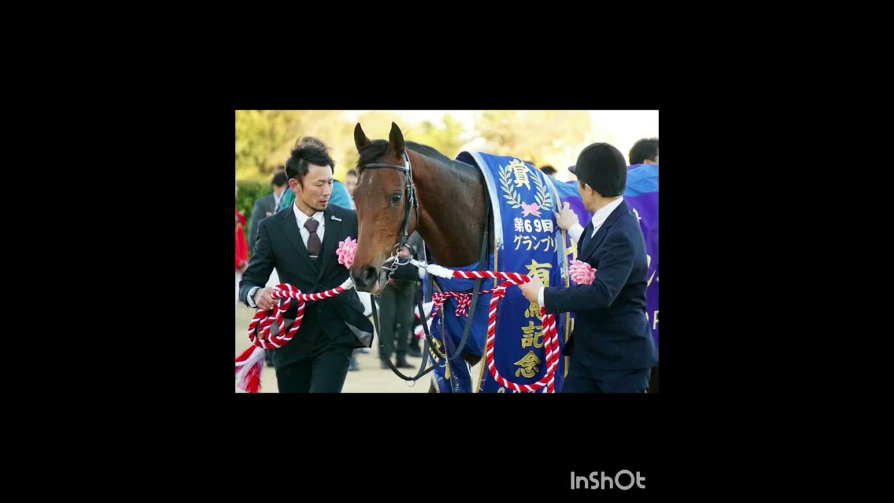 有馬記念　レガレイラと各馬それぞれのレース後