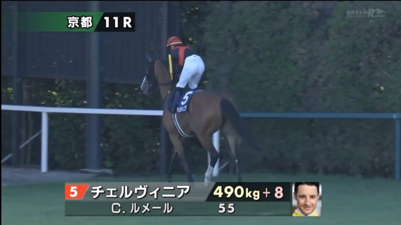 2024 第29回秋華賞〔GⅠ〕本馬場入場