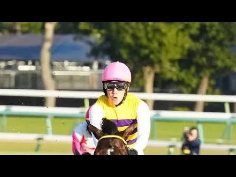【中山大障害】ニシノデイジー　圧勝V　待望の復活劇　五十嵐「力を十分に出すことができた」