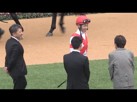 【マイルチャンピオンシップ2024】全頭パドック 現地映像 ソウルラッシュ