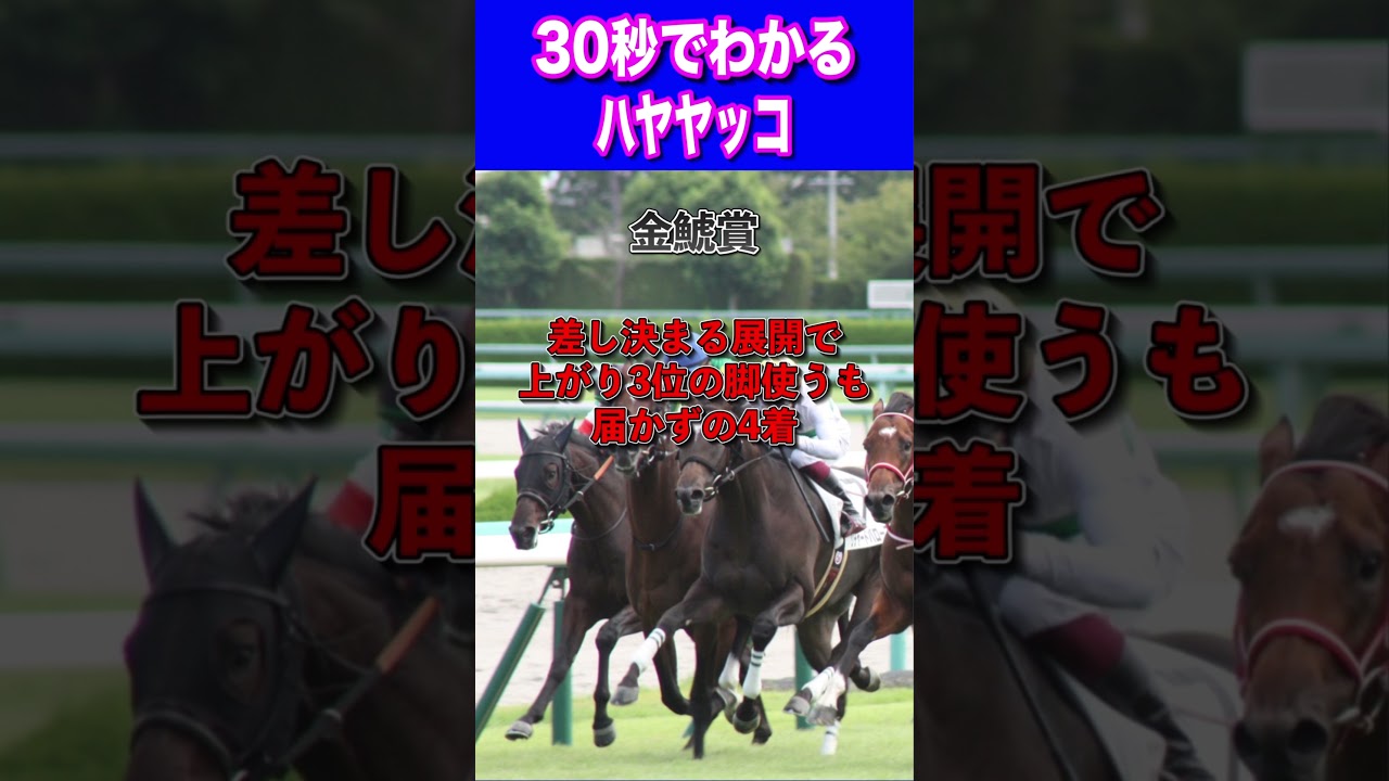 【大阪杯2024】30秒でわかるハヤヤッコ