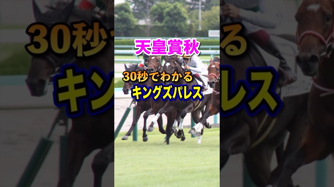 【天皇賞秋2024】30秒でわかるキングズパレス