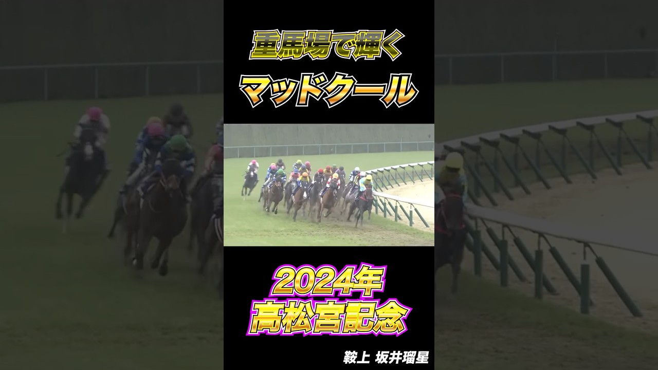 【高松宮記念2024】マッドクール名前かっこ良すぎん？#マッドクール #坂井瑠星 #高松宮記念 #競馬 #競馬予想