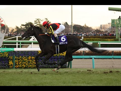 【クロワデュノール】全レース パトロールビデオ