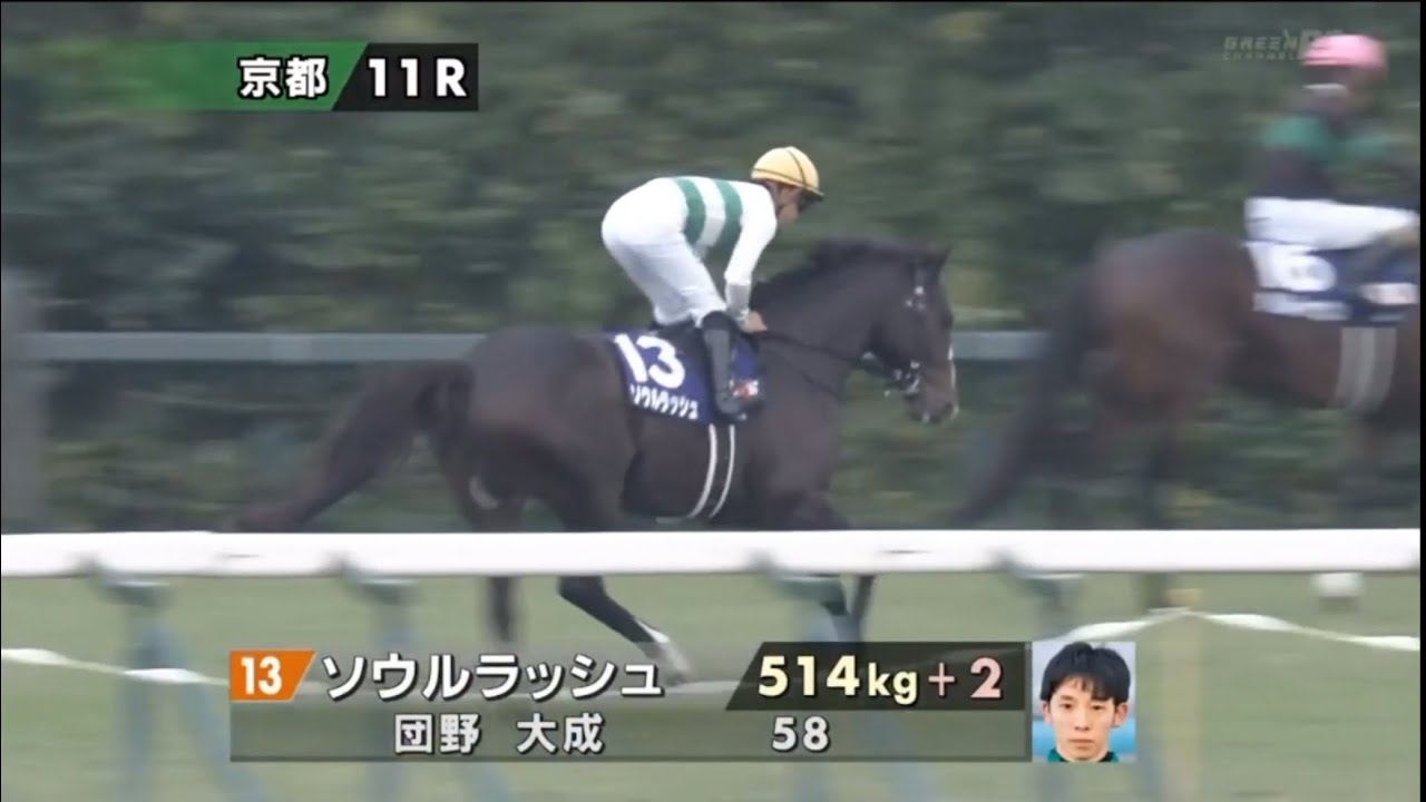 2024 第41回マイルチャンピオンシップ〔GⅠ〕本馬場入場