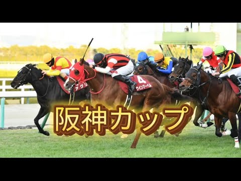 2024年　阪神カップ　有馬記念前にかるーく勝負！