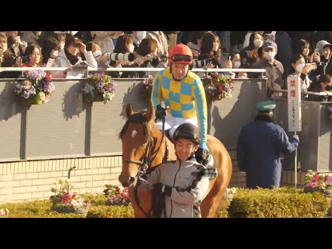 【武豊】マイノワール 後方から直線伸びるも相手が悪かった前走菊花賞8着のハヤテノフクノスケに完敗