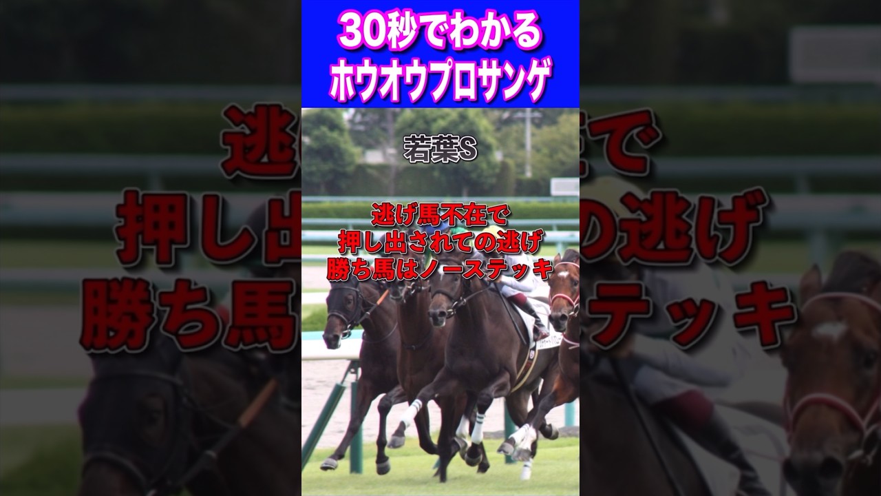 【皐月賞2024】30秒でわかるホウオウプロサンゲ
