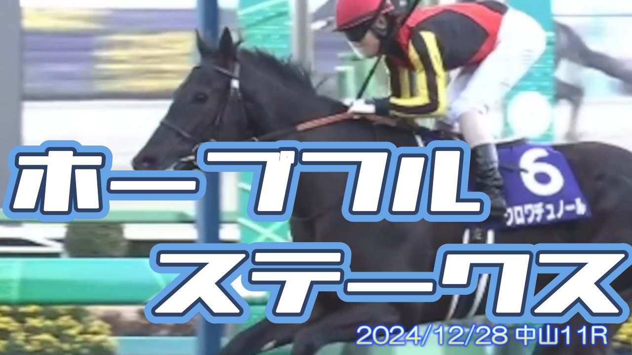 2024/12/28  中山11R　　ホープフルステークス　　#クロワデュノール