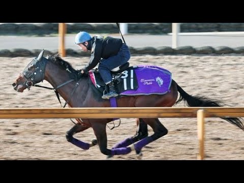 ドウデュース半弟エンダードラゴンはダートで初陣！６日の中京３Ｒに出走　友道調教師「今は短距離がいいのかな」