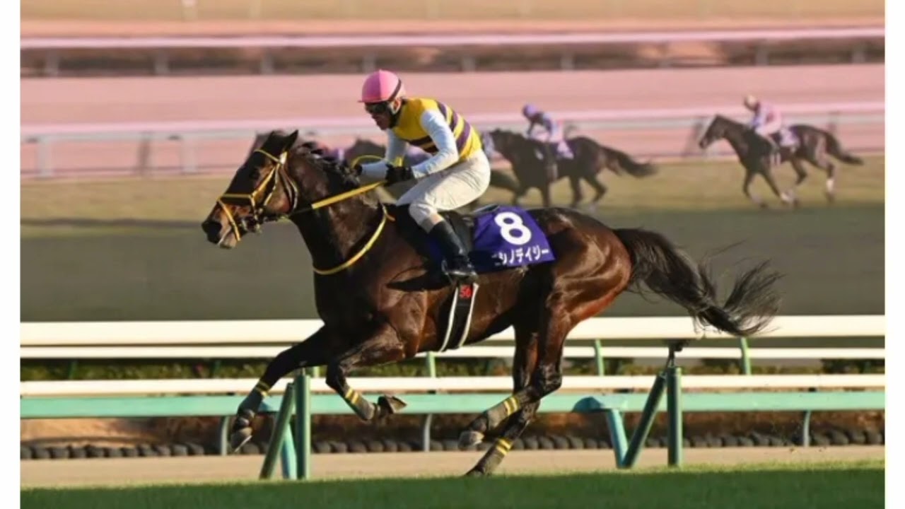 2022、24年中山大障害勝ち馬ニシノデイジーが登録抹消