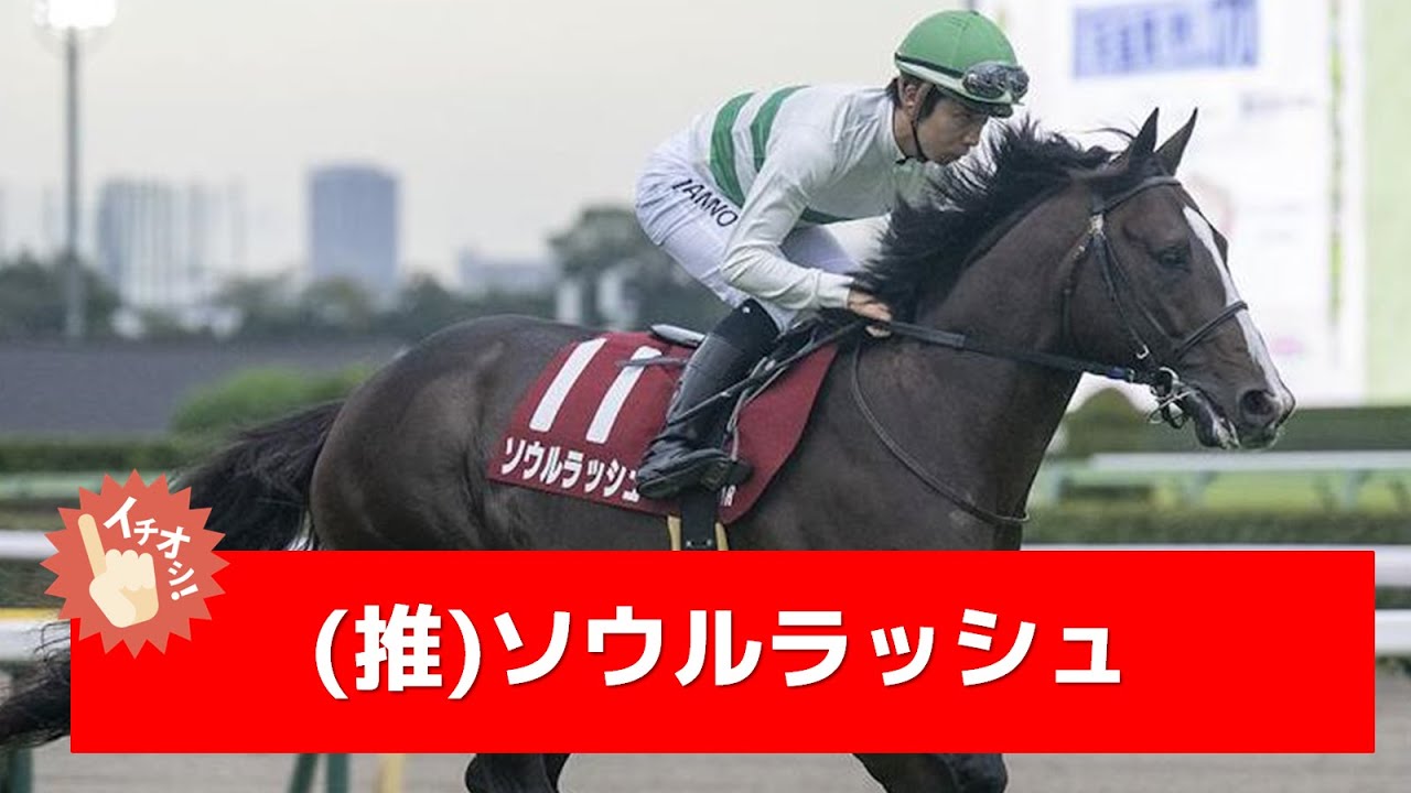 追い切り徹底解説！【マイルCS2024】ブレイディヴェーグ、ナミュールなどの状態はどうか？調教S評価は2頭！