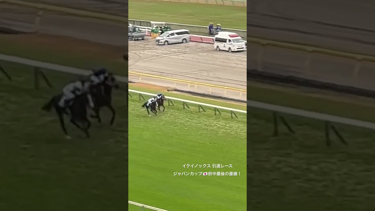 【府中の直線】イクイノックス！ジャパンカップ🇯🇵府中最後の直線。