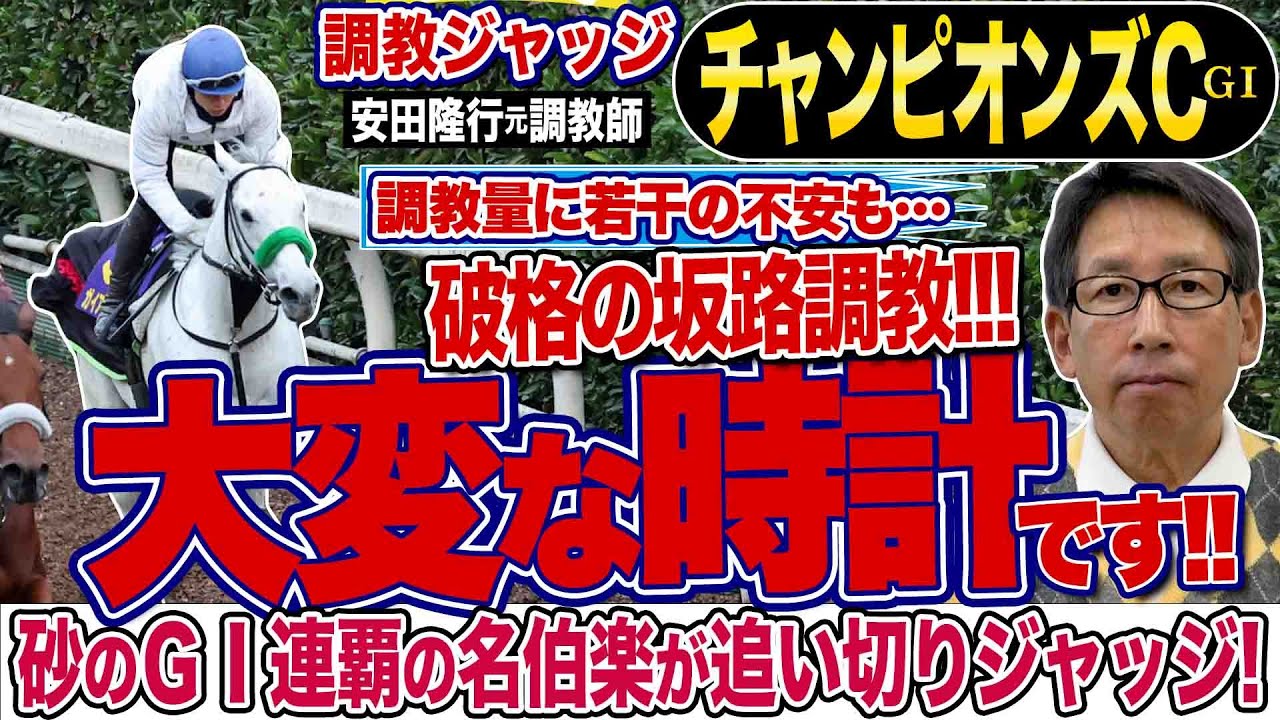 【チャンピオンズカップ2024】安田隆行元調教師が調教ジャッジ　「動き」「時計」「調教過程」を採点しピックアップした4頭を発表！《東スポ競馬ニュース》