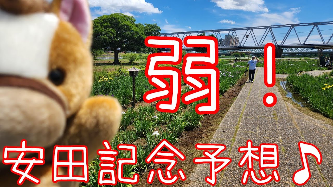 【安田記念】弱予想！