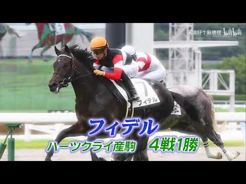 武豊TV! #134「祝優勝！日本ダービープレイバック」